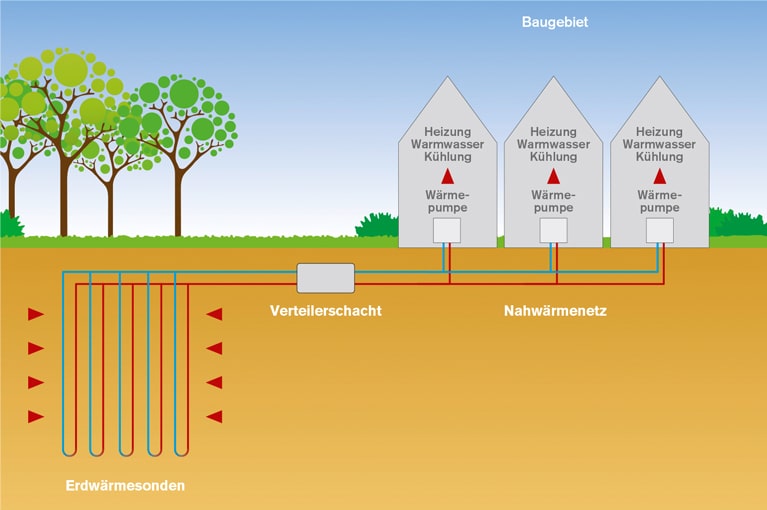 Grafik zur Funktionsweise eines kalten Nahwärmenetzes mit Erdsonden